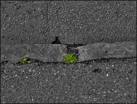 Growing Pains